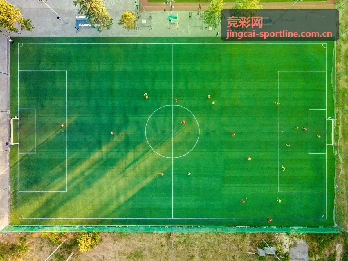 竞彩网近期表现数据专题